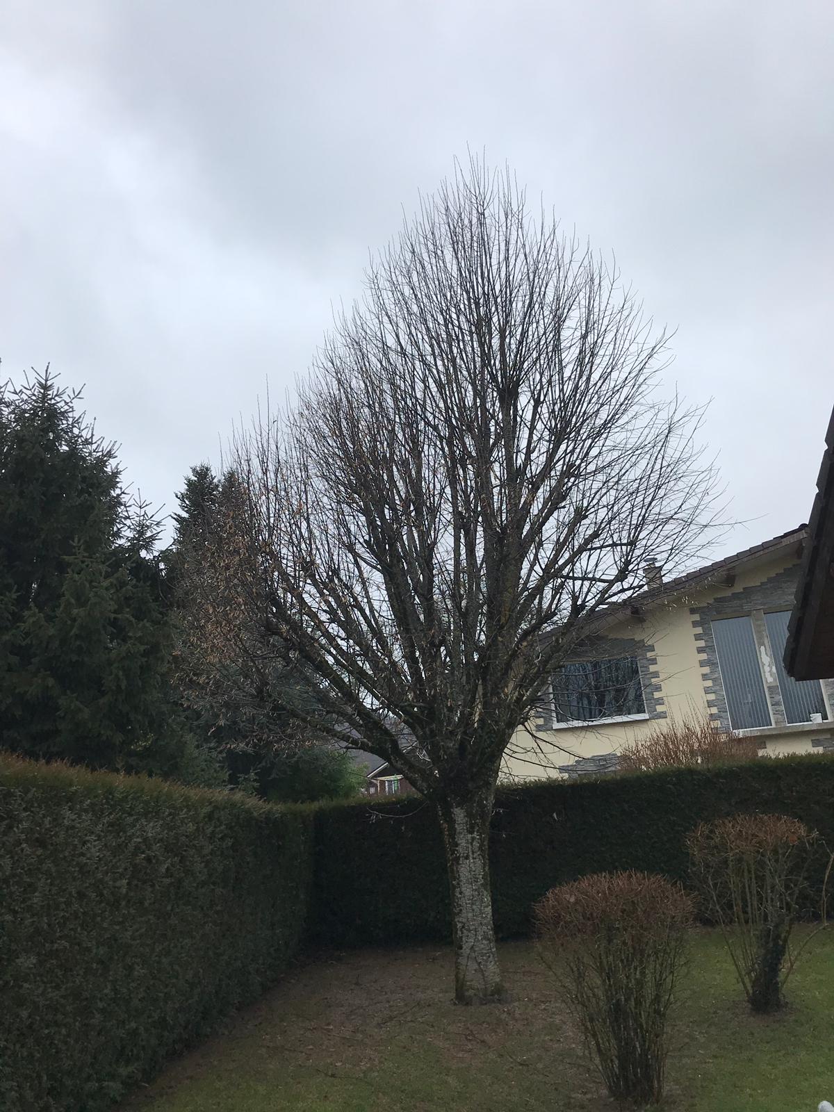 images-1