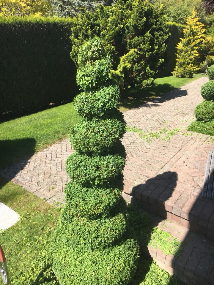 images-4