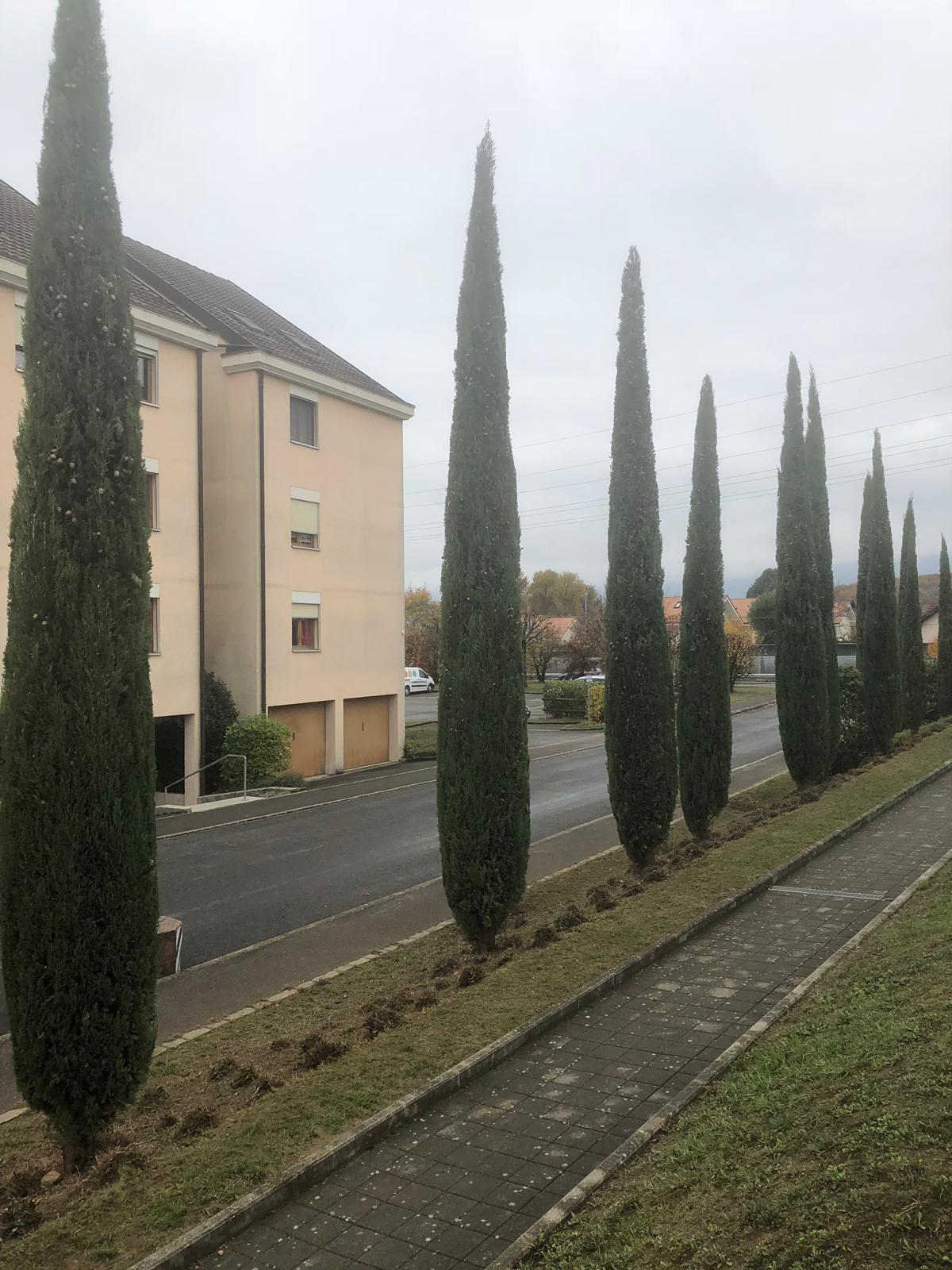 images-5
