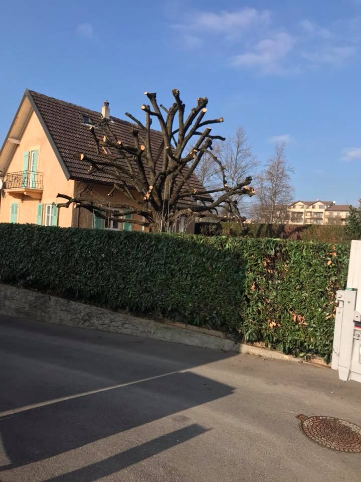 images-4